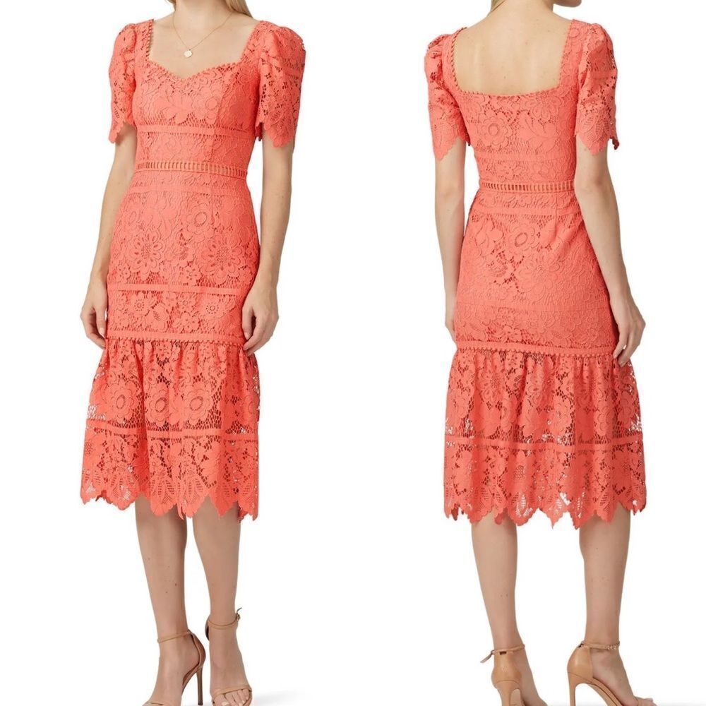 Saylor Louisa Coral Lace Puff Sleeve Midi Sheath Style Dress Sz M